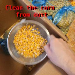 /images/bucket-train-clean-corn.jpg